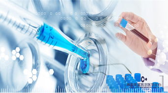 干細(xì)胞抗衰老的原理與人體干細(xì)胞技術(shù)的發(fā)展前景