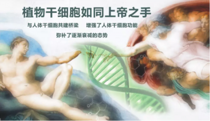 年輕之鑰 干細胞技術(shù)的突破與應(yīng)用前景