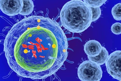 細胞治療 以生命修復生命，干細胞技術引領現代醫學革命