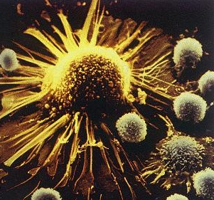 生命科技前沿的領航者 專注于人體干細胞技術開發與應用的企業簡介