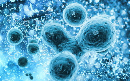 人體干細胞技術與尖銳濕疣發(fā)生因素 兩個不同領域的科學探討